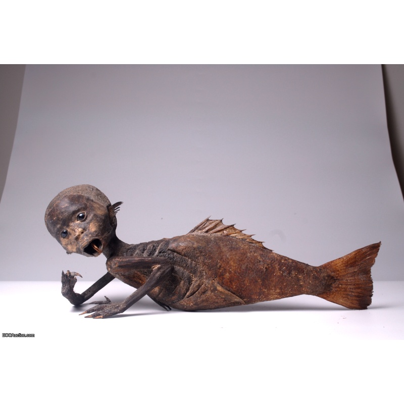 Fiji Mermaid Mummified Mermaid