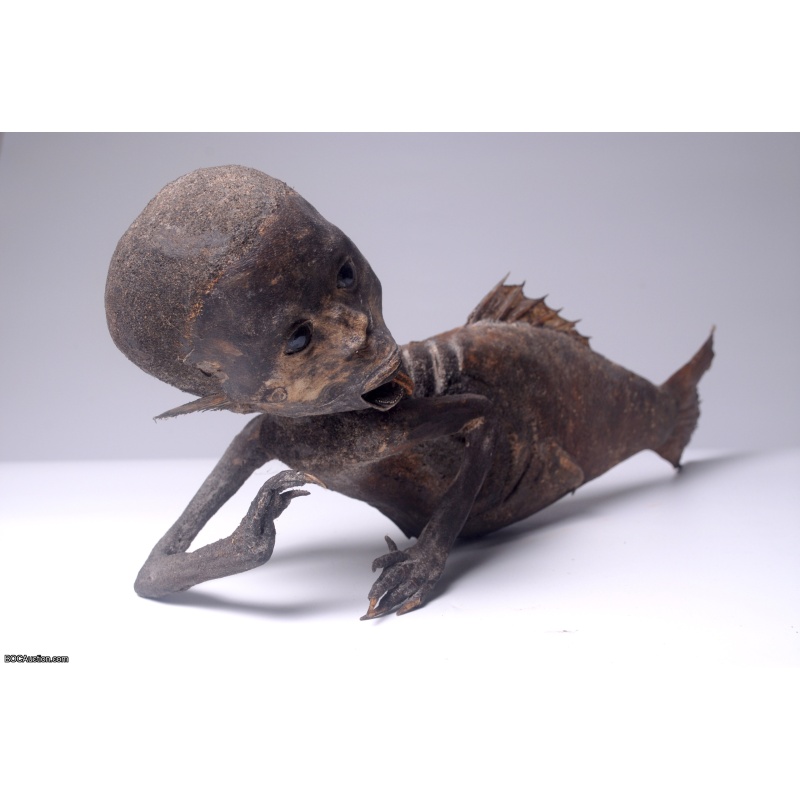 Fiji Mermaid Mummified Mermaid