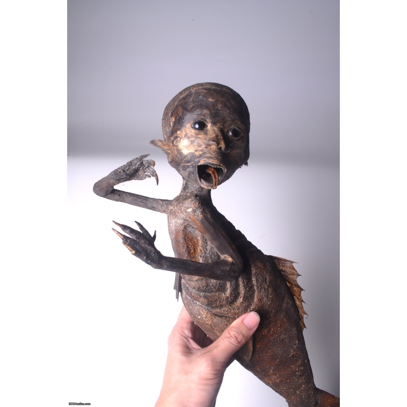 Fiji Mermaid Mummified Mermaid