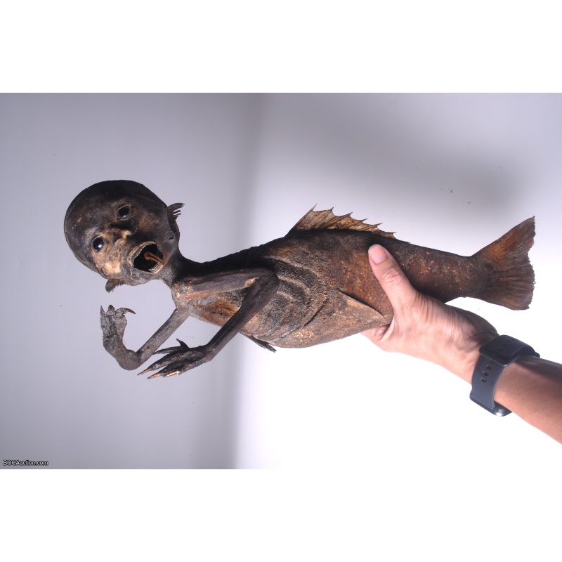 Fiji Mermaid Mummified Mermaid