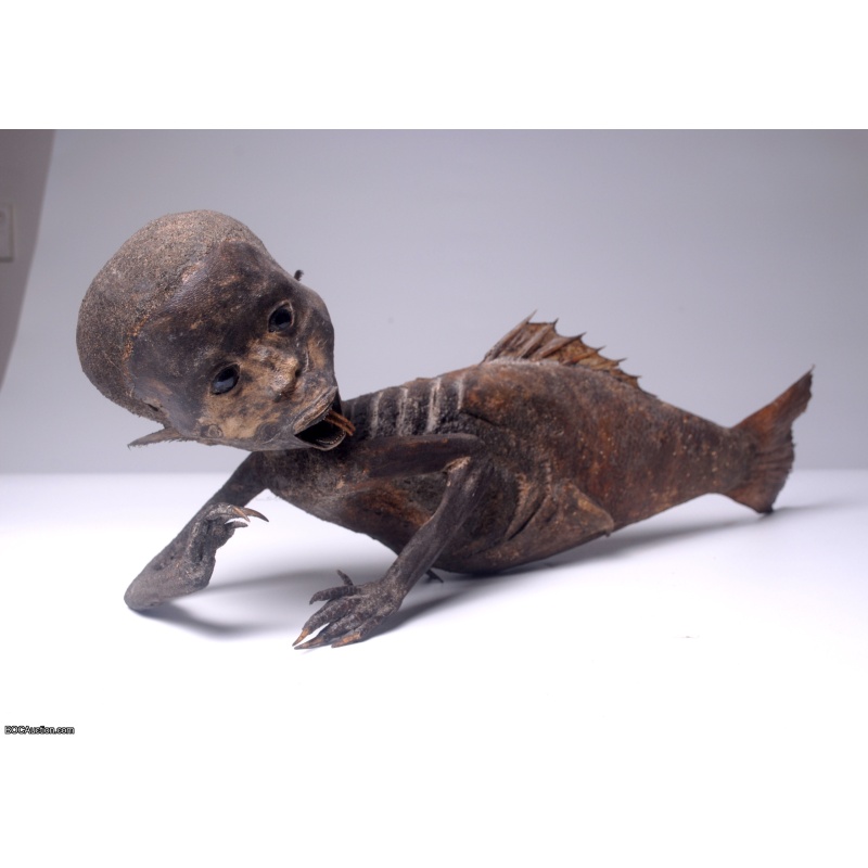 Fiji Mermaid Mummified Mermaid