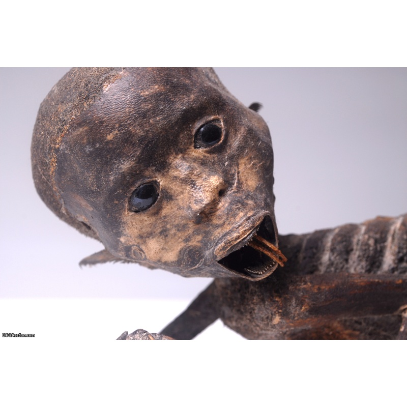 Fiji Mermaid Mummified Mermaid