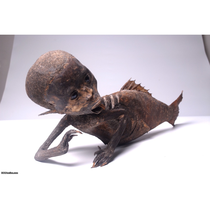 Fiji Mermaid Mummified Mermaid