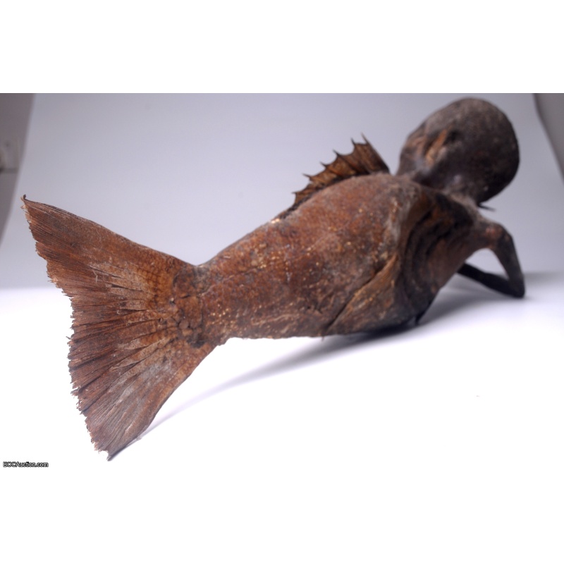 Fiji Mermaid Mummified Mermaid