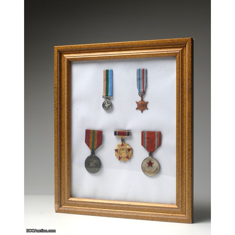 5 x Military Badge collection in Frame